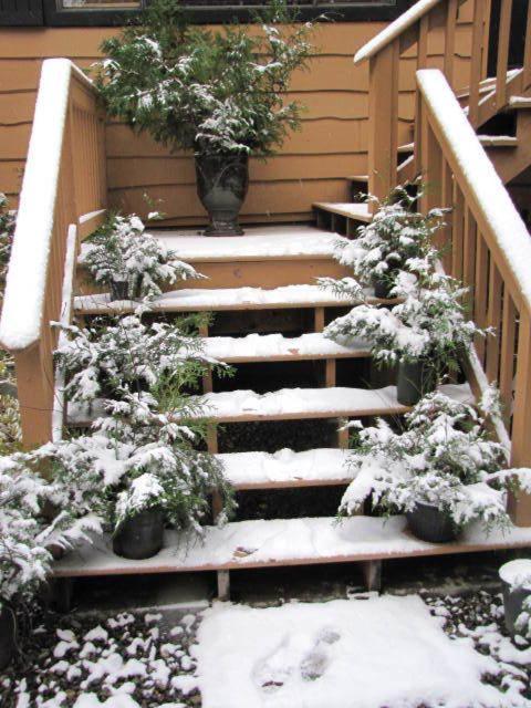 Shawnigan Lake Bed And Breakfast Exterior foto